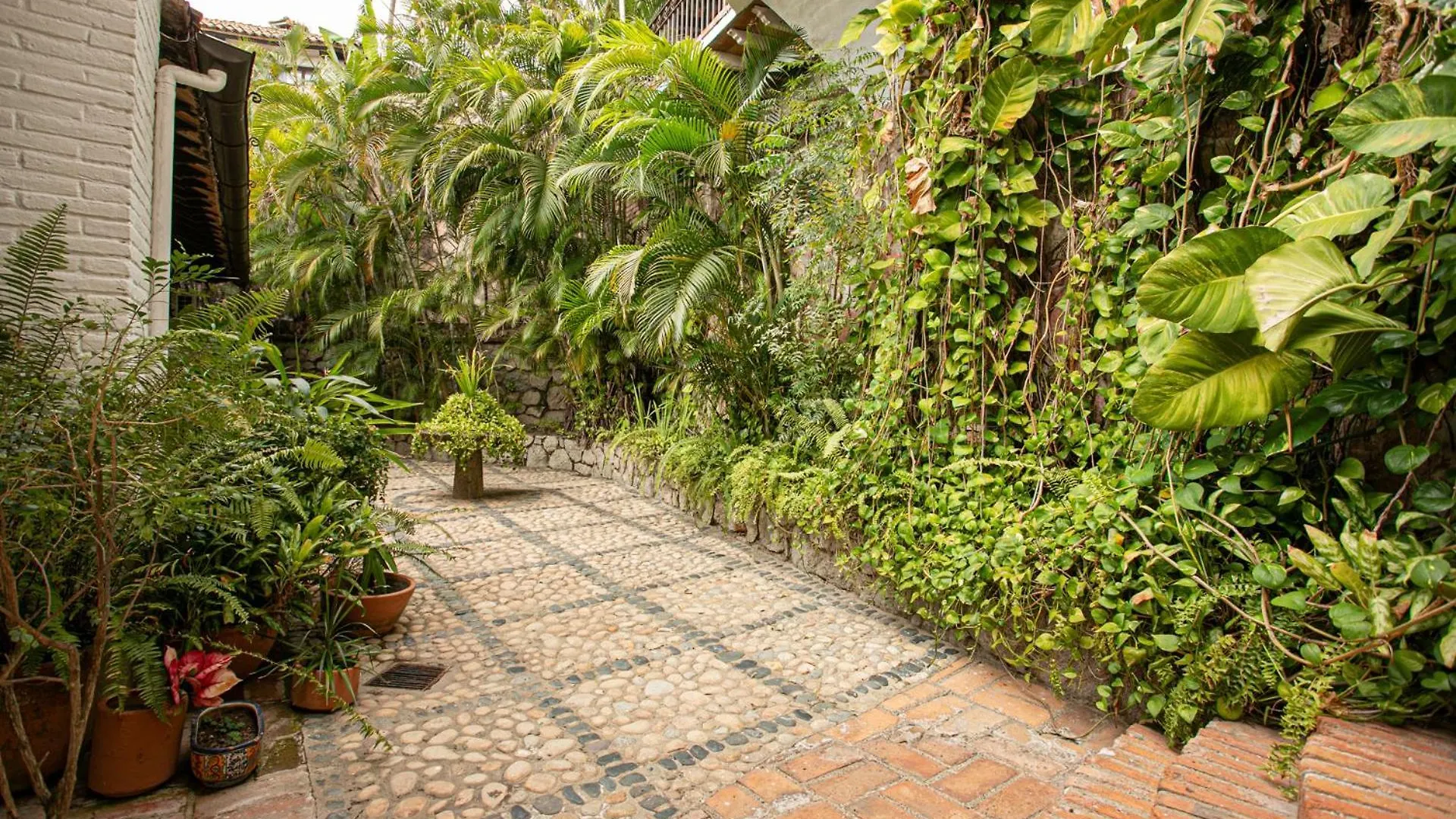 Villa Celeste Puerto Vallarta 0*,  Mexico